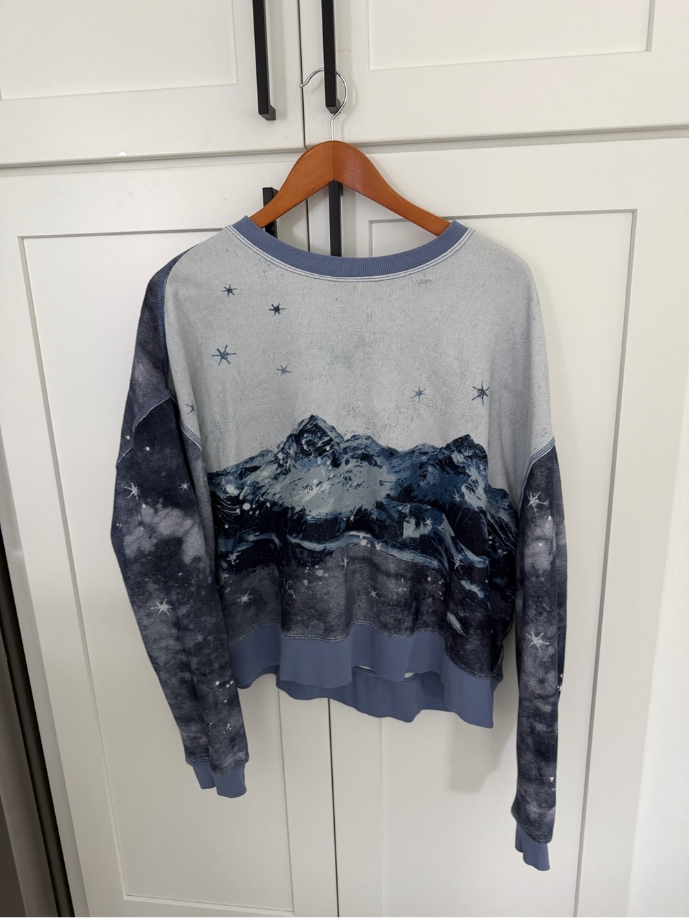 Anthropologie x pilcro Mountain sweater